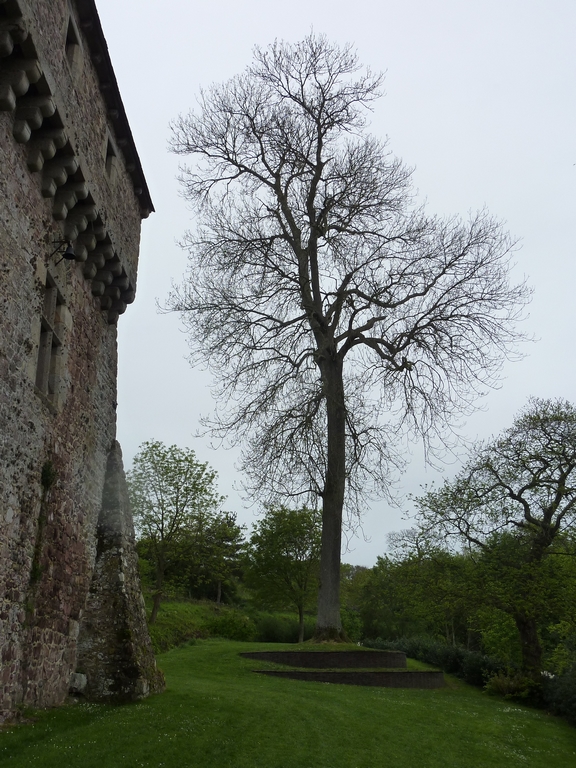 14  Chateau de la Roche Jagu