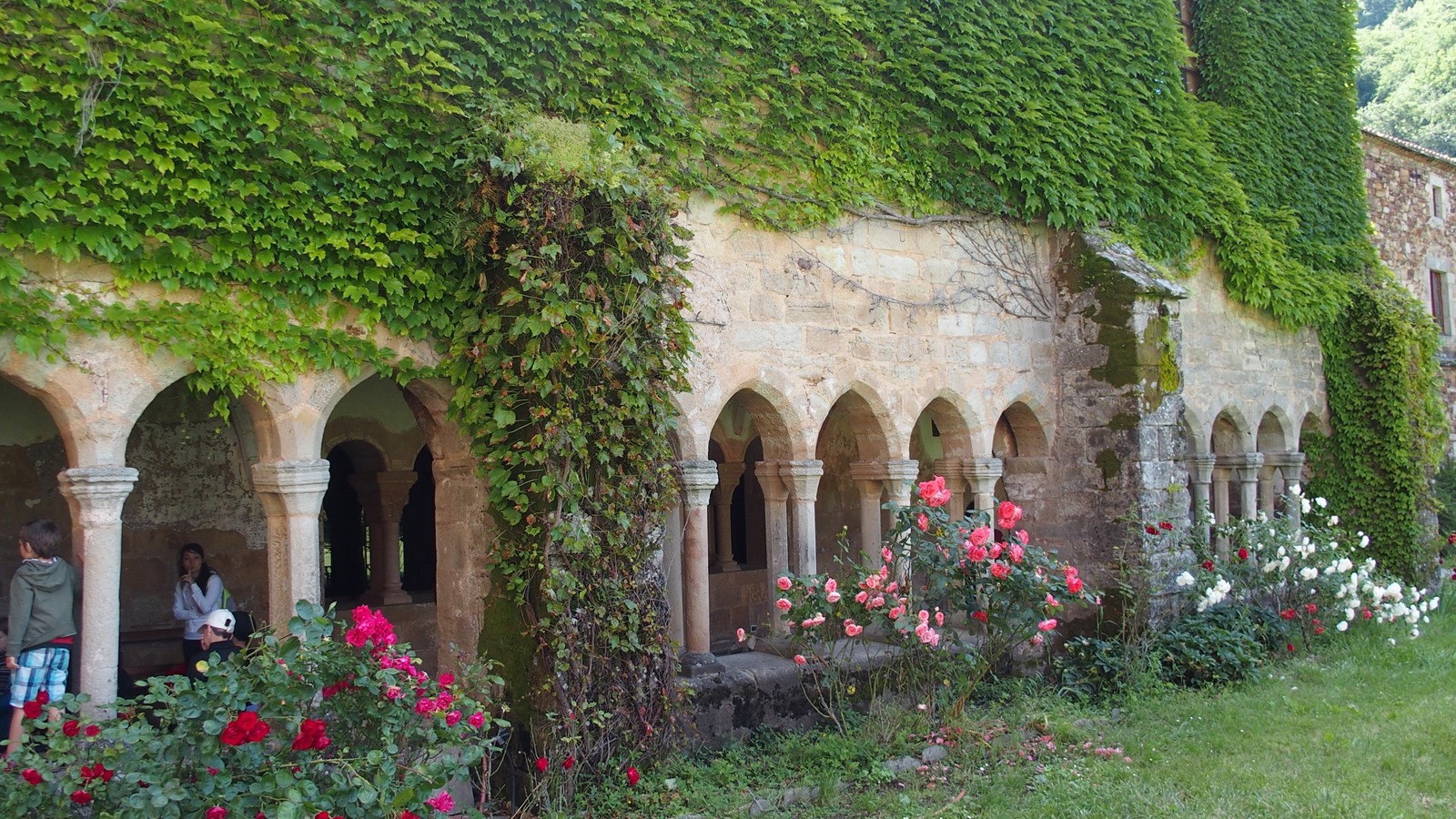 4 Abbaye de Sylvanes (3)